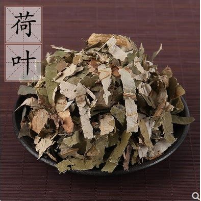 蓮葉荷葉|荷葉(中藥):入藥部位,性味,歸經,功效,主治,相關配伍,用法用量,使用。